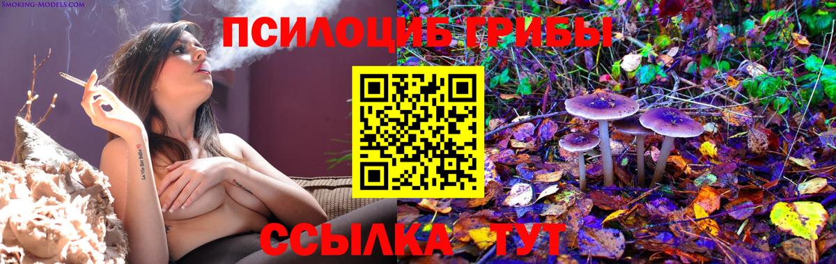 Галлюциногенные грибы MAGIC MUSHROOMS  Вход с VPN  Керчь 